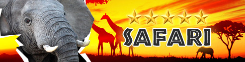 spela slots casino.com vinn resa Afrika